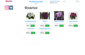 4junior.ru
