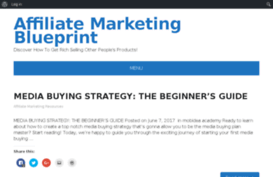 affiliate-marketing-blueprint.com