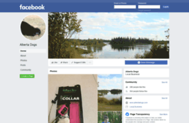 albertadogs.com