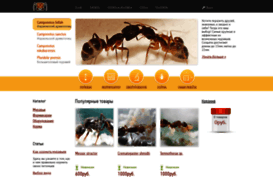 antshop.ru