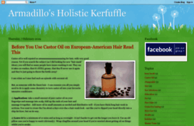 armadillokerfuffle.blogspot.se