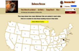 balinese.rescueme.org