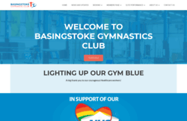 basingstokegym.co.uk
