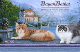 bayanbaikal.com