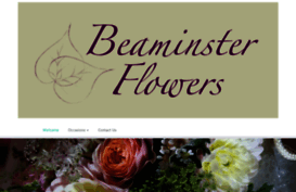beaminsterflowers.com