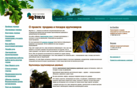 big-tree.ru