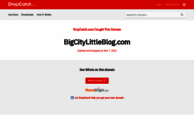bigcitylittleblog.com