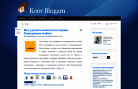 bingam.ru
