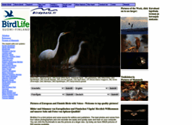 birdphoto.fi