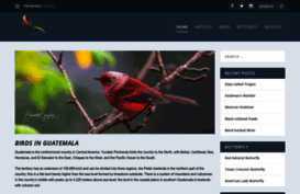 birdsinguatemala.com