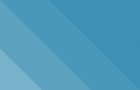 bliss-design.kz