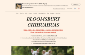 bloomsburychihuahuas.com