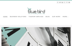 bluebirdinternetmarketing.com