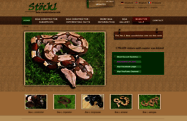 boa-constrictors.com