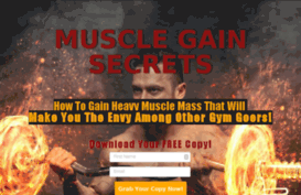 bodybuildingfitnessguide.com