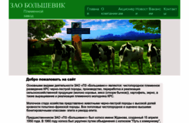 bolshevik-spb.ru
