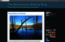 brownstonebirder.blogspot.nl