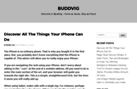buddvig.org