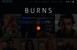 burnsent.com