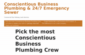 businessplumbing.com