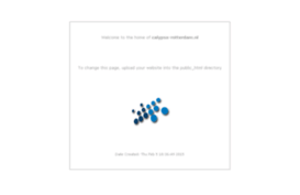 calypso-rotterdam.nl