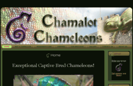chamalotchameleons.com