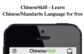 chinese-skill.com