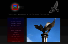 citybirds.com