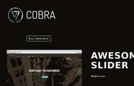 cobra.elasticbuilder.com
