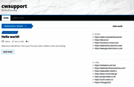 cwsupport.biz