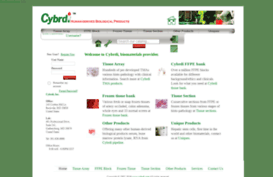 cybrdi.com