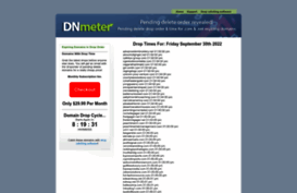 dnmeter.com