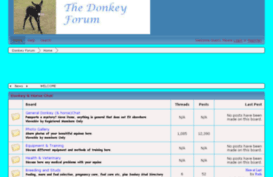 donkeyforum.co.uk