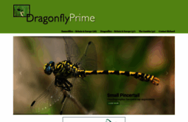 dragonflyphotofavourites.co.uk