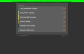drugaddictiontherapy.org