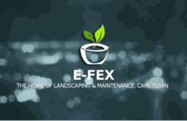 e-fex.co.za