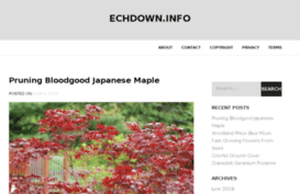 echdown.info