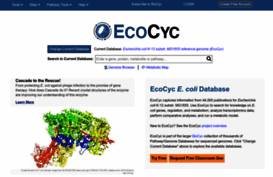 ecocyc.org