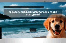 ekzamen.denpon.ru