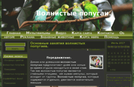 elenailjina.ru
