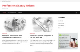 essaywriters24.com