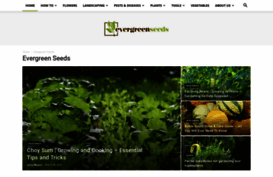 evergreenseeds.com