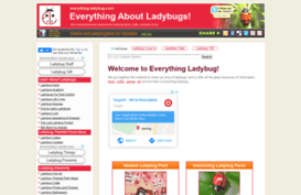 everything-ladybug.com