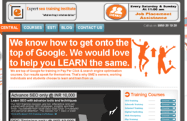 expert-seo-training-institute.com
