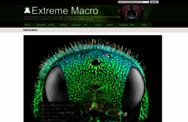 extreme-macro.co.uk