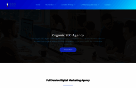 fastseosolutions.com