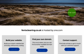 fenixcleaning.co.uk