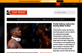 fightinsight.com