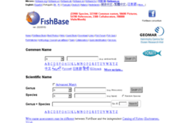 fishbase.ca