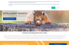 flare-consultants.com